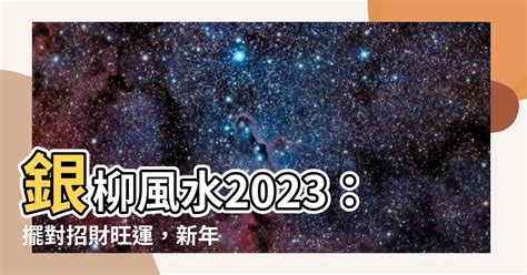 銀柳風水2023|2023年銀柳風水為何能改善健康？